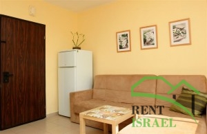 תמונה-1-300×195