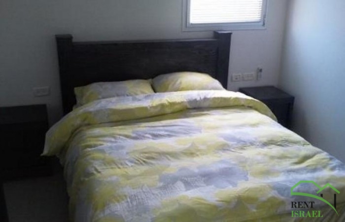 2011-02-13_13.33.42