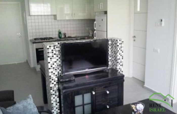 2011-02-13_13.37.05