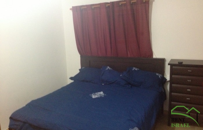 phpN4tEPLAM-1024×768