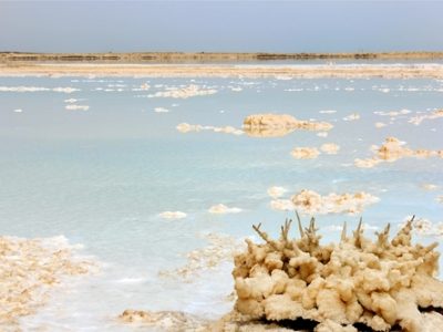 Причины, почему Мертвое море получило такое название