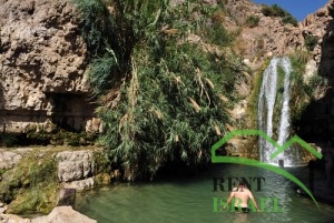 EIN GEDI, ISR - JUNE 07  :Visitor swim in Ein Gedi spring on June 07 2009. It's a very famous and popular oasis on the shore of Israel's Dead Sea, the lowest place on Earth.