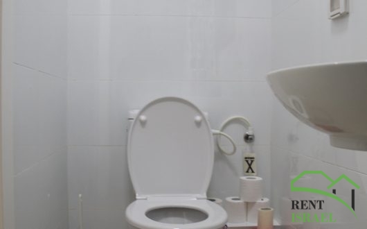 IMG_8901-530×330