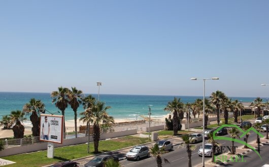 IMG_8911-530×330