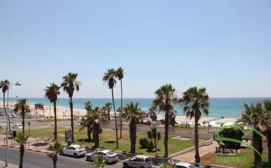 IMG_8913-530×330