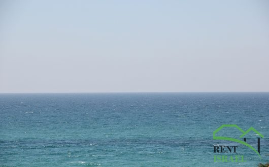 IMG_8915-530×330